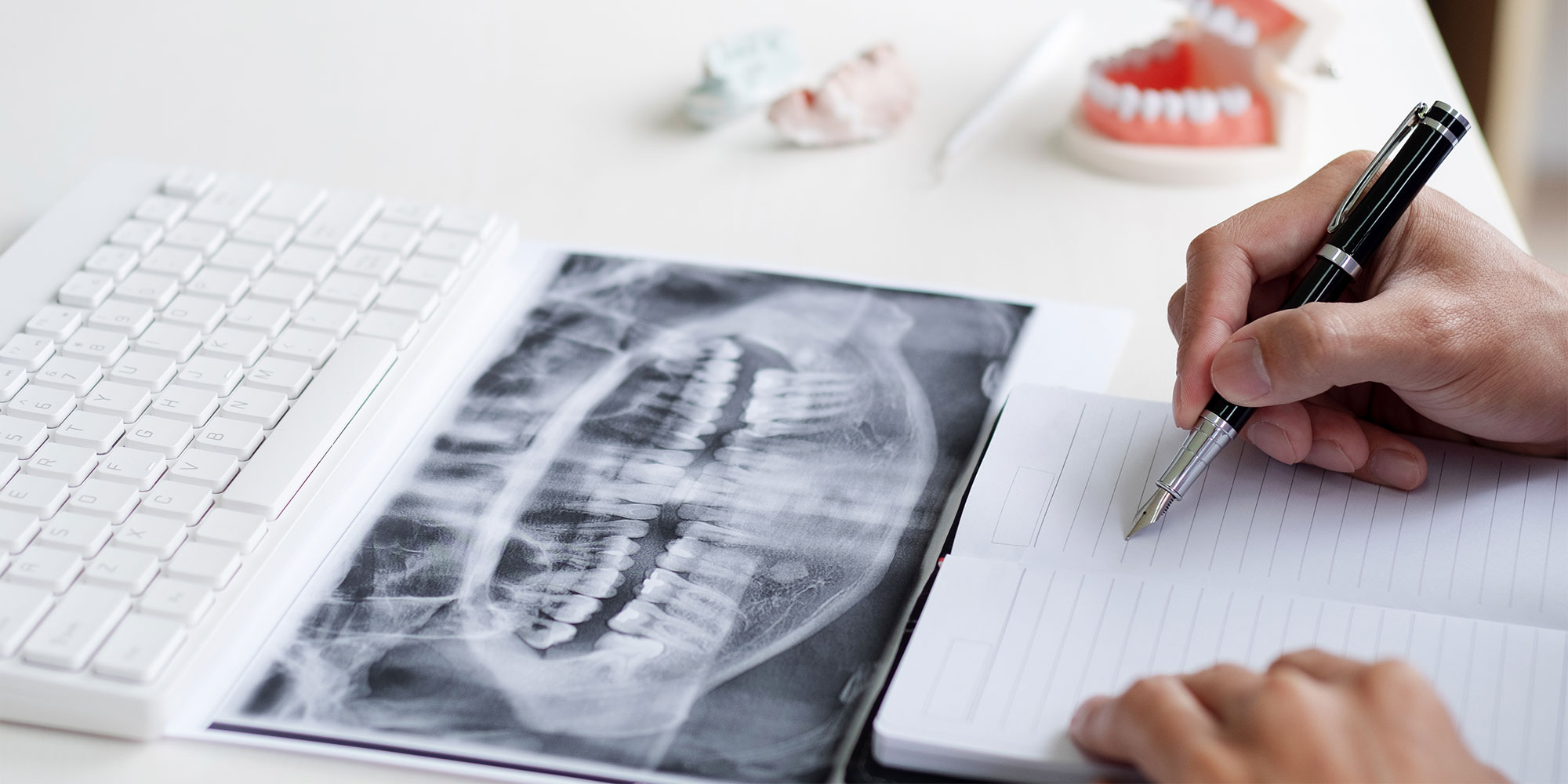 dental education