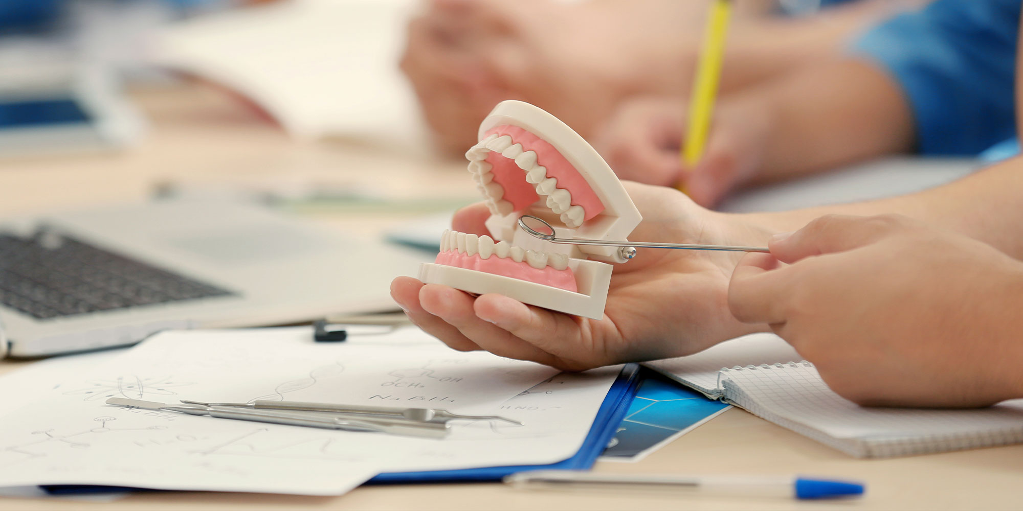 dental school